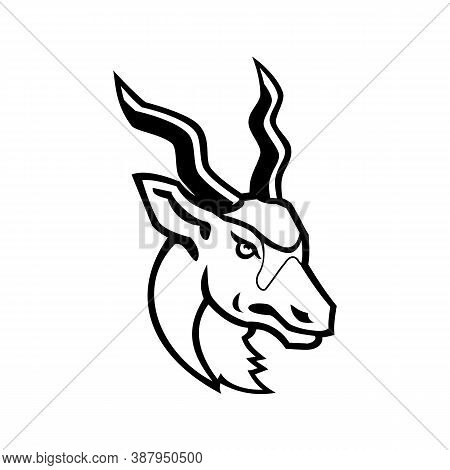 Black And White Mascot Illustration Of Head Of An Addax, White Antelope Or Screwhorn Antelope, An An