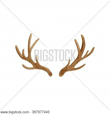 Antler Horns Watercolor Illustration. Hand Painted Deer Horns Isolated On White Background.