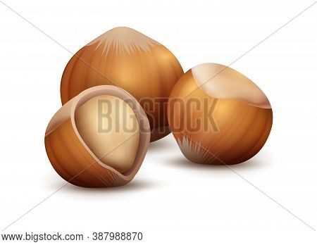 Realistic Nuts. Forest Plant Seed For Branding. 3d Hazelnut On White Background. Nutty Taste In Choc