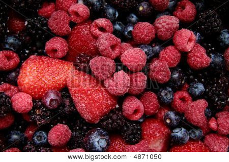 Wid-Beeren