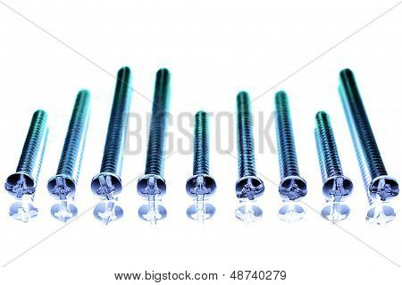 Screws on White background color toned blue