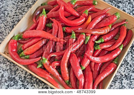 Chili peper