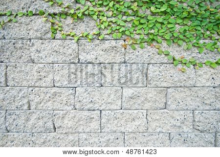 Brick Wall