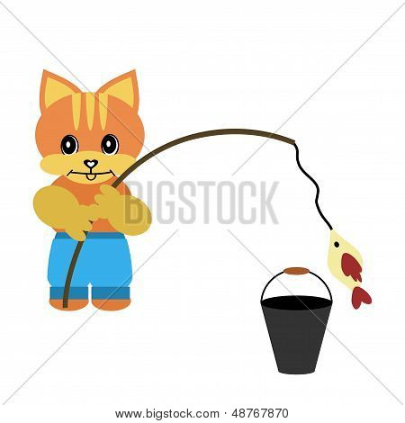 gatto con rob e pesce