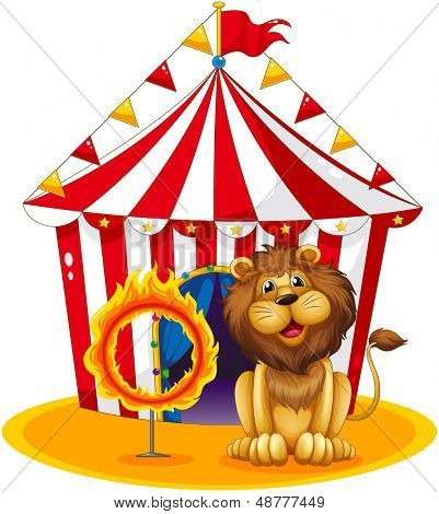 Ilustração de um leão ao lado de um aro de fogo no circo em um fundo branco