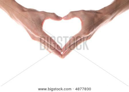 마음 손