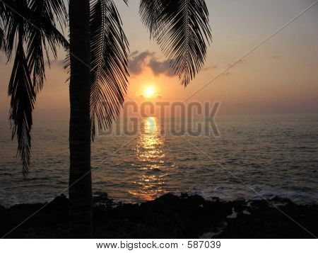 Ocean Sunset