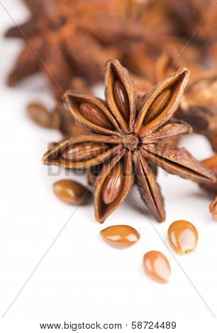 Whole Star Anise isolated on white background