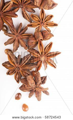 Whole Star Anise isolated on white background