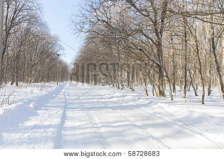 Winter Road