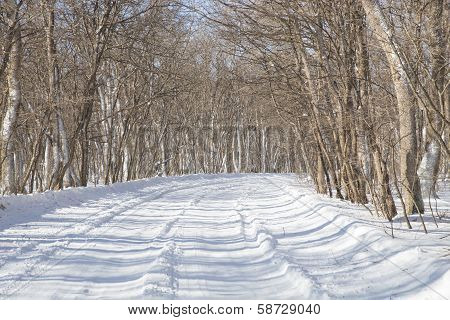 Winter Road