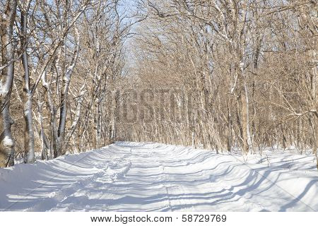 Winter Road