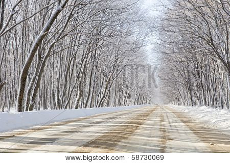 Winter Road