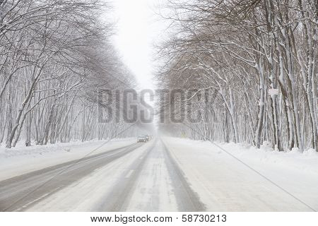 Winter Road