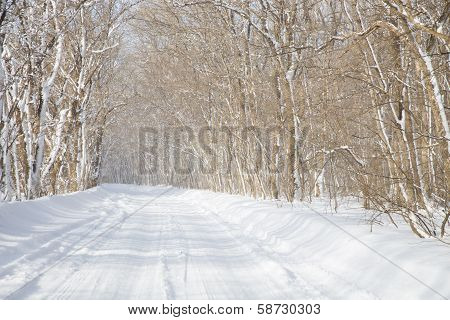 Winter Road