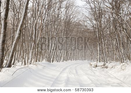Winter Road