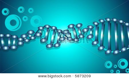 ADN