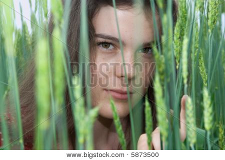 Girl in green field of wheat