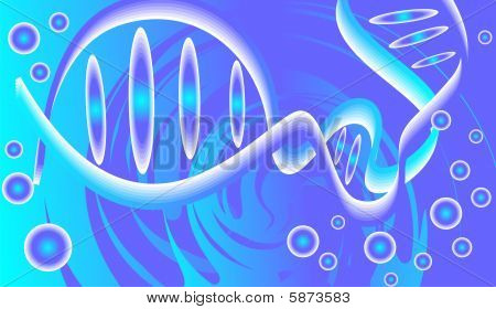 DNA model