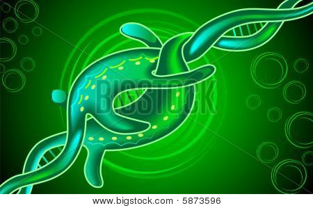 DNA