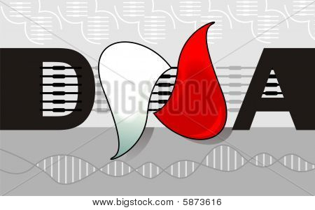 DNA