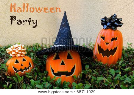 Halloween Pumpkins On A Grass