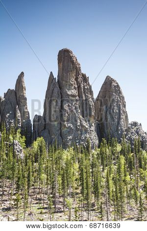 Hiking In Custer State Park, South Dakota