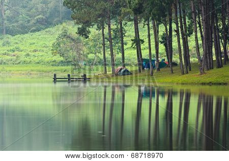 Morning Atmosphere Campsite On A Lake In The Pine Forest