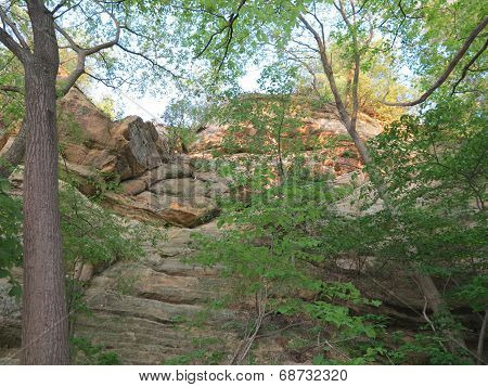 Box Canyon at Starved Rock State Park with Spring Time Tree Growth