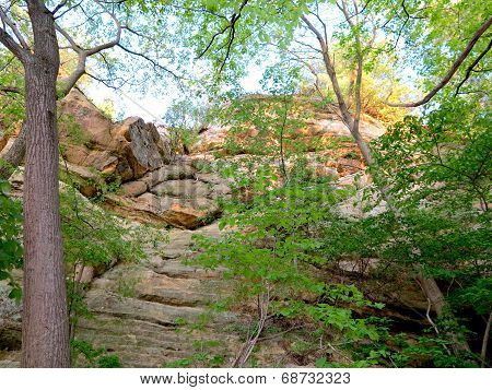 Box Canyon at Starved Rock State Park with Spring Time Tree Growth