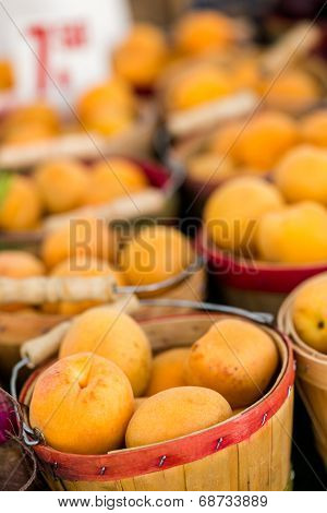 Fresh Produce