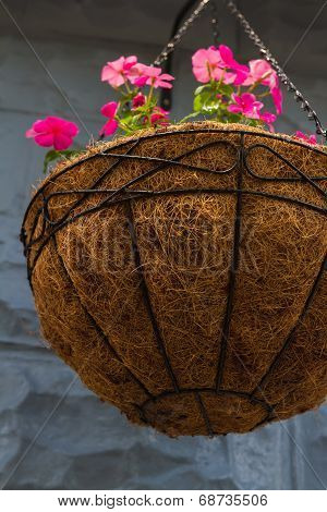 Hanging Flower Pot