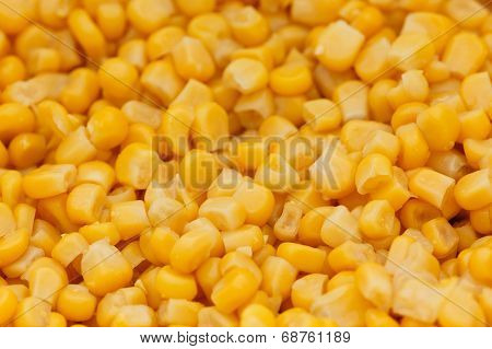 Fresh corns