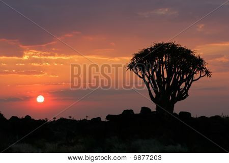 ทะเลทรายอาทิตย์ นามิเบีย แอฟริกาใต้