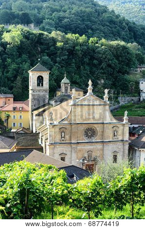 BELLINZONA, SWITZERLAND - JULY 4, 2014: The Collegiate Church and vineyard, seen from Castelgrande. The Renaissance building was built in 1517 by Tomaso Rodari, builder of Como Cathedral.