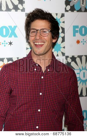 LOS ANGELES - JUL 20:  Andy Samberg at the FOX TCA July 2014 Party at the Soho House on July 20, 2014 in West Hollywood, CA