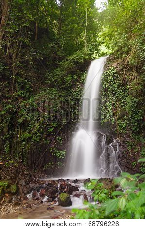 Small Waterfall In Jungle
