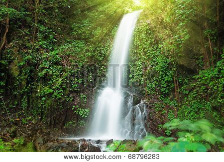 Small Waterfall In Jungle