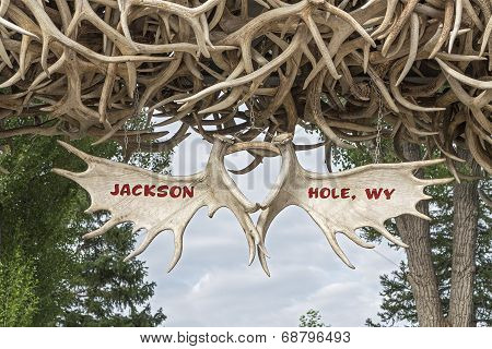 Elk Antler Arches