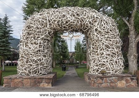 Elk Antler Arches