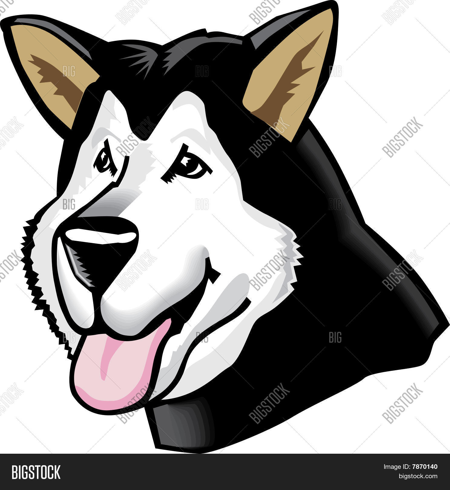 Image Preview