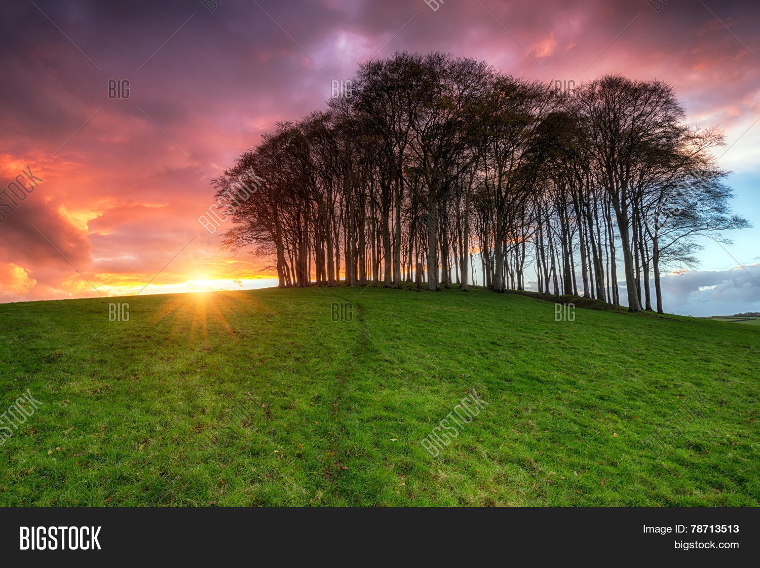 Image Preview