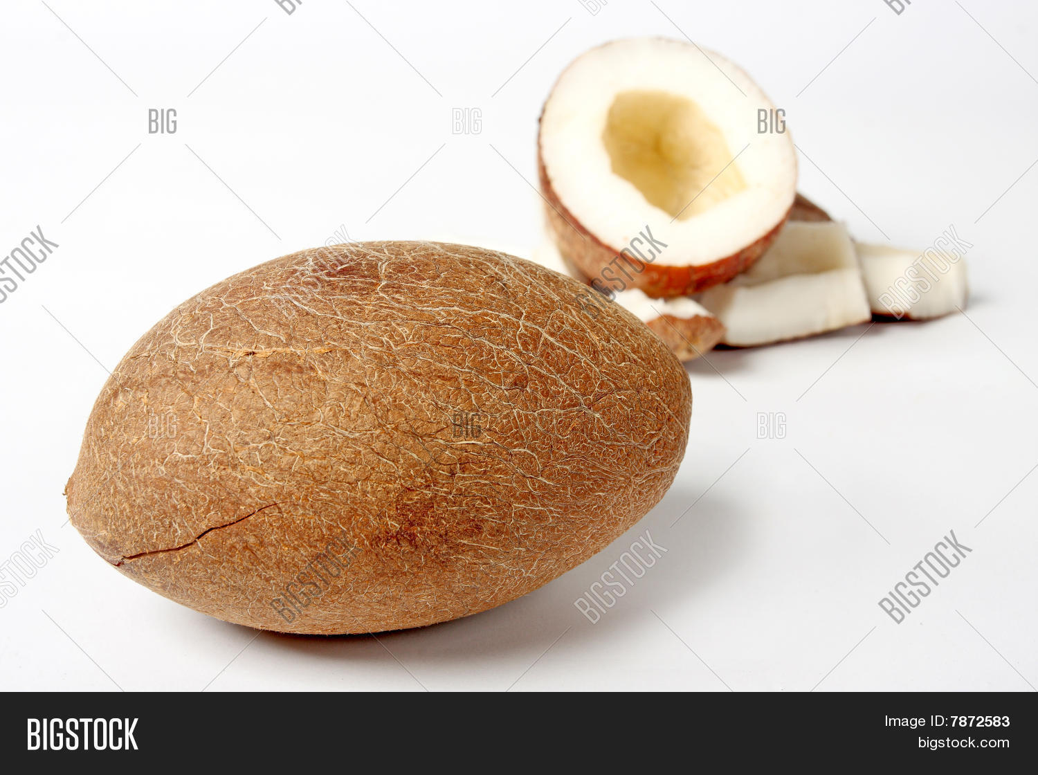 Image Preview
