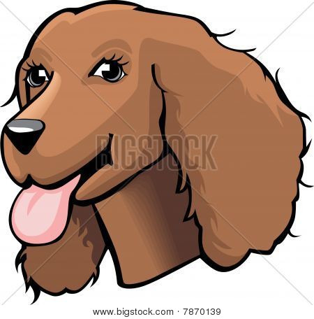 Spaniel tegneserie