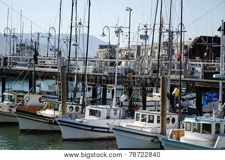 San Francisco View