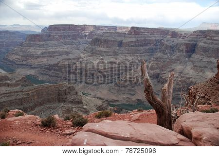 Grand Canyon, Arizona, Usa Colorado River