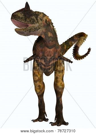 Carnotaurus Front Profile