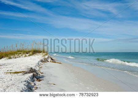 Beautiful Florida Coastline