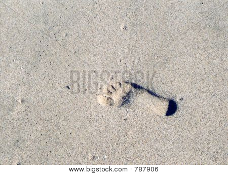 Footprint_Sand