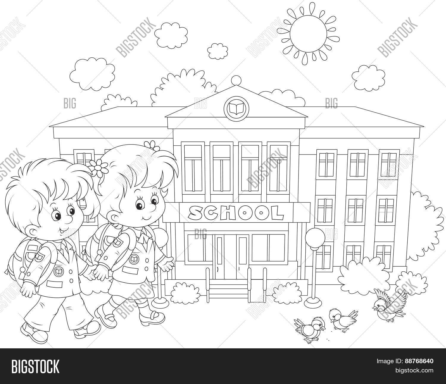 Image Preview